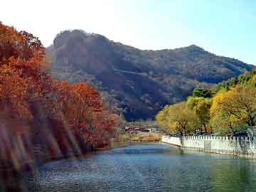 管家婆黑白马报图库，湛江除湿机